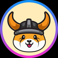 SHIBA FLOKI