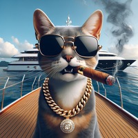 CATWIFMONEY