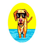 Potcake Token