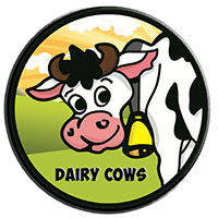 DAIRY COWS