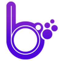 BUBBLE PROTOCOL