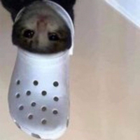 ɔɹoɔ ɔɐʇ