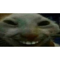 xdd