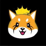 Fantom Floki Inu
