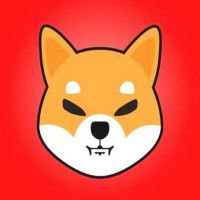 X Shiba inu