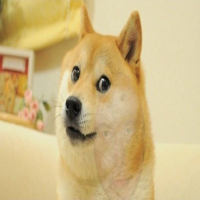 Pro Doge