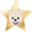 Pomeranian Star