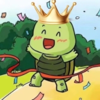 Turtleking