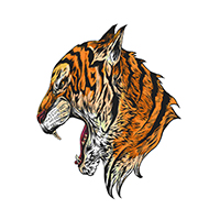 khajiit coin