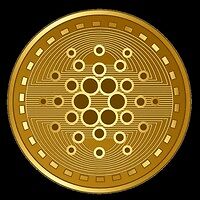 GOLDEN ADA