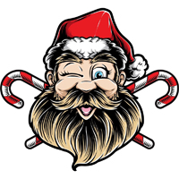 Blessed Santa Coin