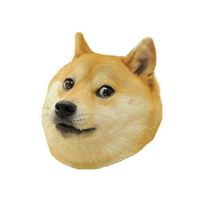 Excitedoge