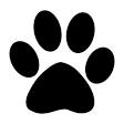 PAWS🐾
