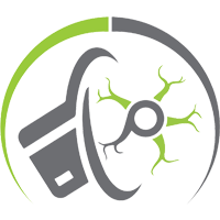 SYNAPSE  PAY