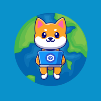 Mysterious Shiba