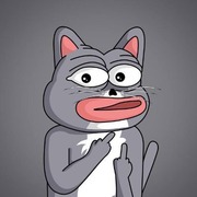 Dusti the Cat