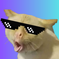 CATIBRO MEME CATS