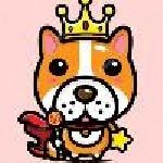 littlefloki