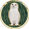 WHITE OWL