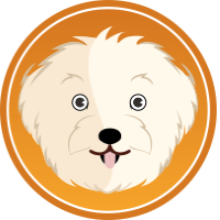 MALTIPOO INU
