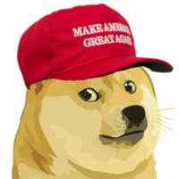 Lets Go Brandoge