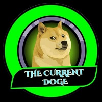 THE CURRENT DOGE