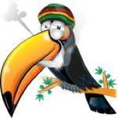 AllTimeHighBird