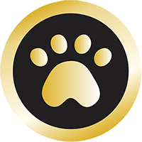 Big DogeMoon