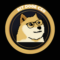 BIT DOGE CEO