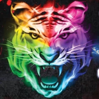 TigerTattoo