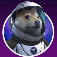 DOGE One