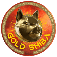 Gold Shiba