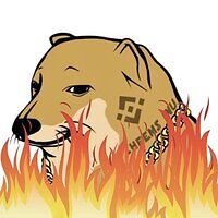 BURNCHEEMS