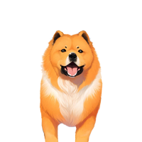 Chow