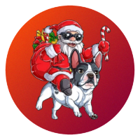 SANTA PITBULL
