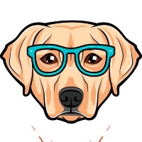 Doogle Token