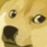 Doge 9