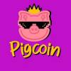 PigCoin