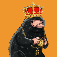 NIFFLER COIN
