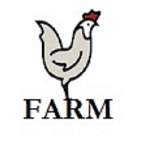 Aseel chicks FARM