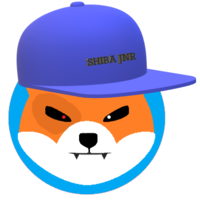 SHIBA JUNIOR