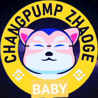 Baby PumpChang Zhao