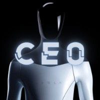 optimus ceo