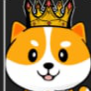 king floki inu