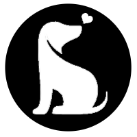 Shiba Inu Classic