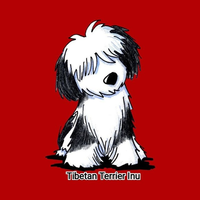Tibetan Terrier Inu