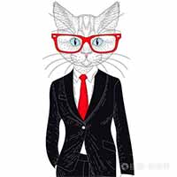 KITTYCEO