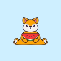 FruityShiba