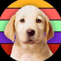 Marley Inu