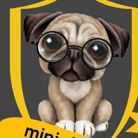 MiniDeFido